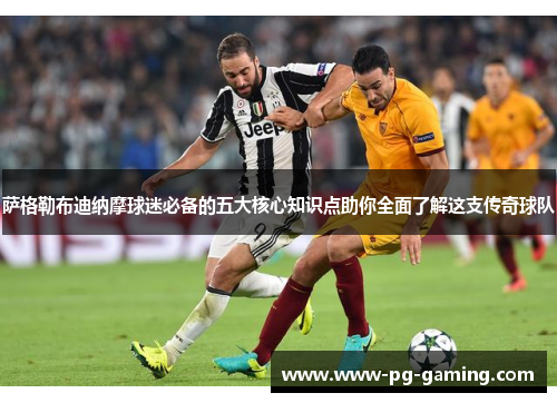 萨格勒布迪纳摩球迷必备的五大核心知识点助你全面了解这支传奇球队