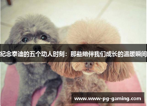 纪念泰迪的五个动人时刻:那些陪伴我们成长的温暖瞬间 纪念泰迪的五个动人时刻:那些陪伴我们成长的温暖瞬间