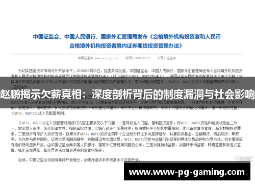 赵鹏揭示欠薪真相:深度剖析背后的制度漏洞与社会影响 赵鹏揭示欠薪真相:深度剖析背后的制度漏洞与社会影响
