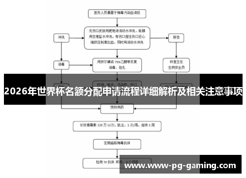 2026年世界杯名额分配申请流程详细解析及相关注意事项 2026年世界杯名额分配申请流程详细解析及相关注意事项