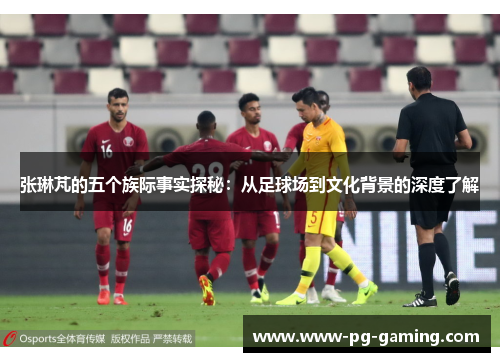 张琳芃的五个族际事实探秘：从足球场到文化背景的深度了解