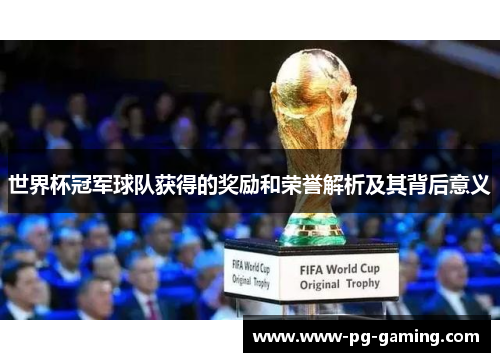 世界杯冠军球队获得的奖励和荣誉解析及其背后意义