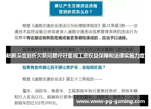 赵鹏深度剖析欠薪问题呼吁重视工资权益保障和法律实施力度